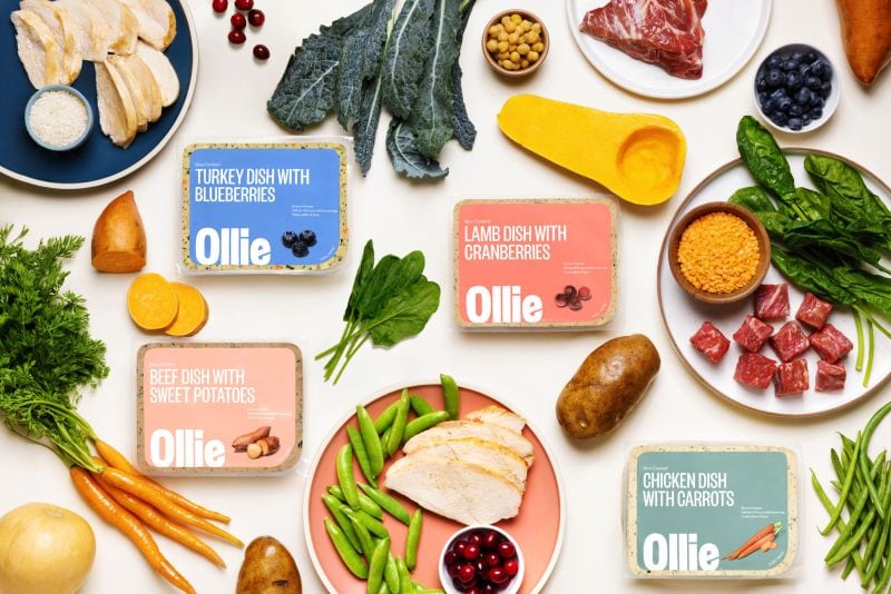 Ollie Fresh Dog Food